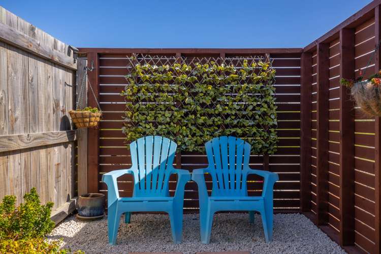 7 Turnbull Drive Witherlea_21