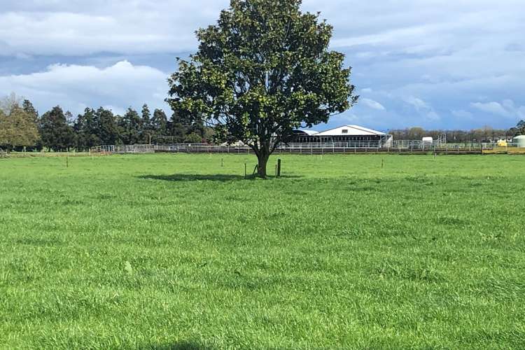 768 Piako Road Gordonton_15