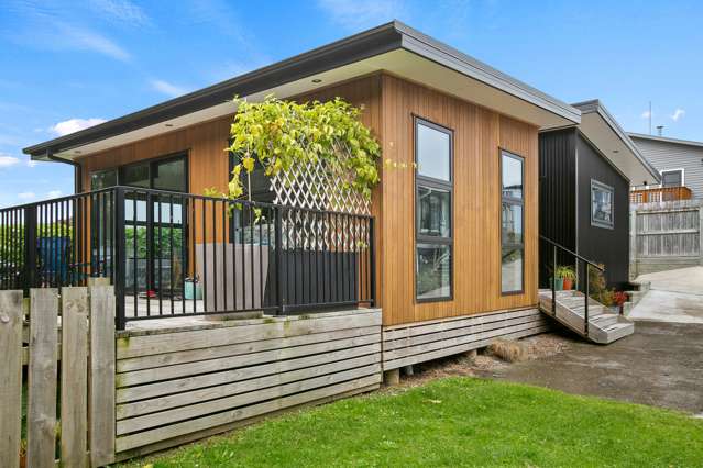 46b Gaine Street New Plymouth Central_2