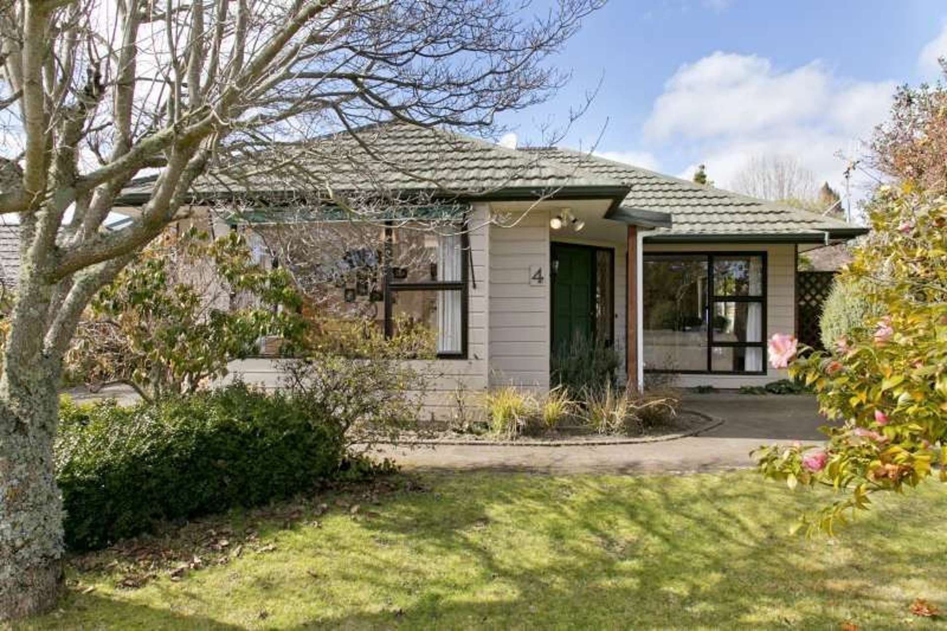 1/4 Haines Grove Taupo_0