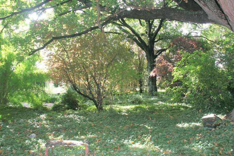 155 Gladstone Road South East Taieri_9