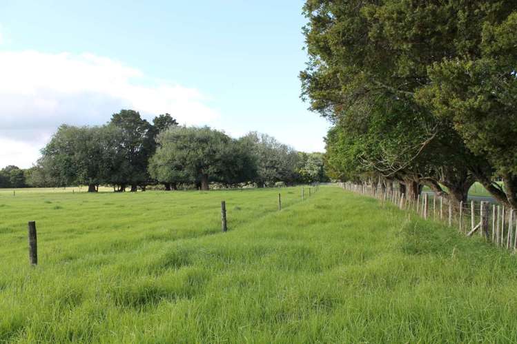 217 Puhipuhi Road Whakapara_16