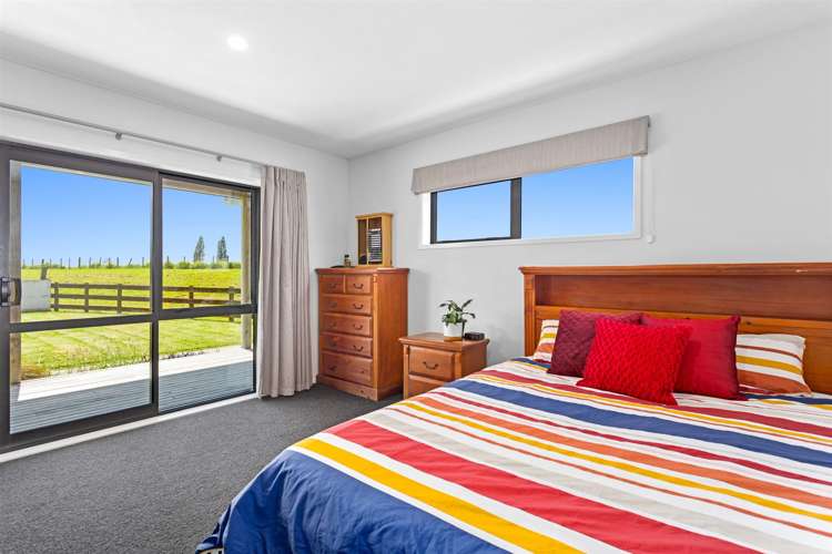 6 Olive Grove Edgecumbe_8