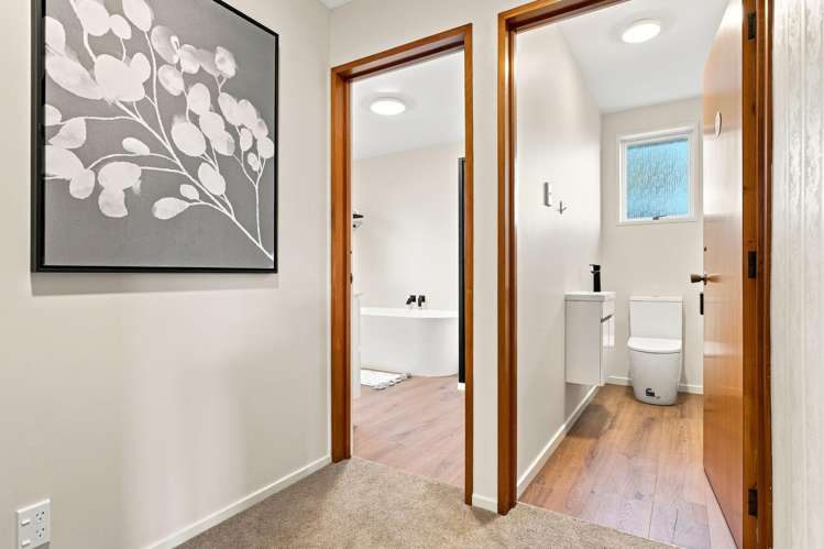 13 Dunrobin Street Waverley_14
