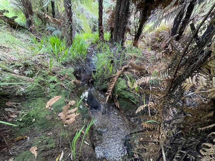 Lot 1 Katui Road Dargaville Surrounds_8