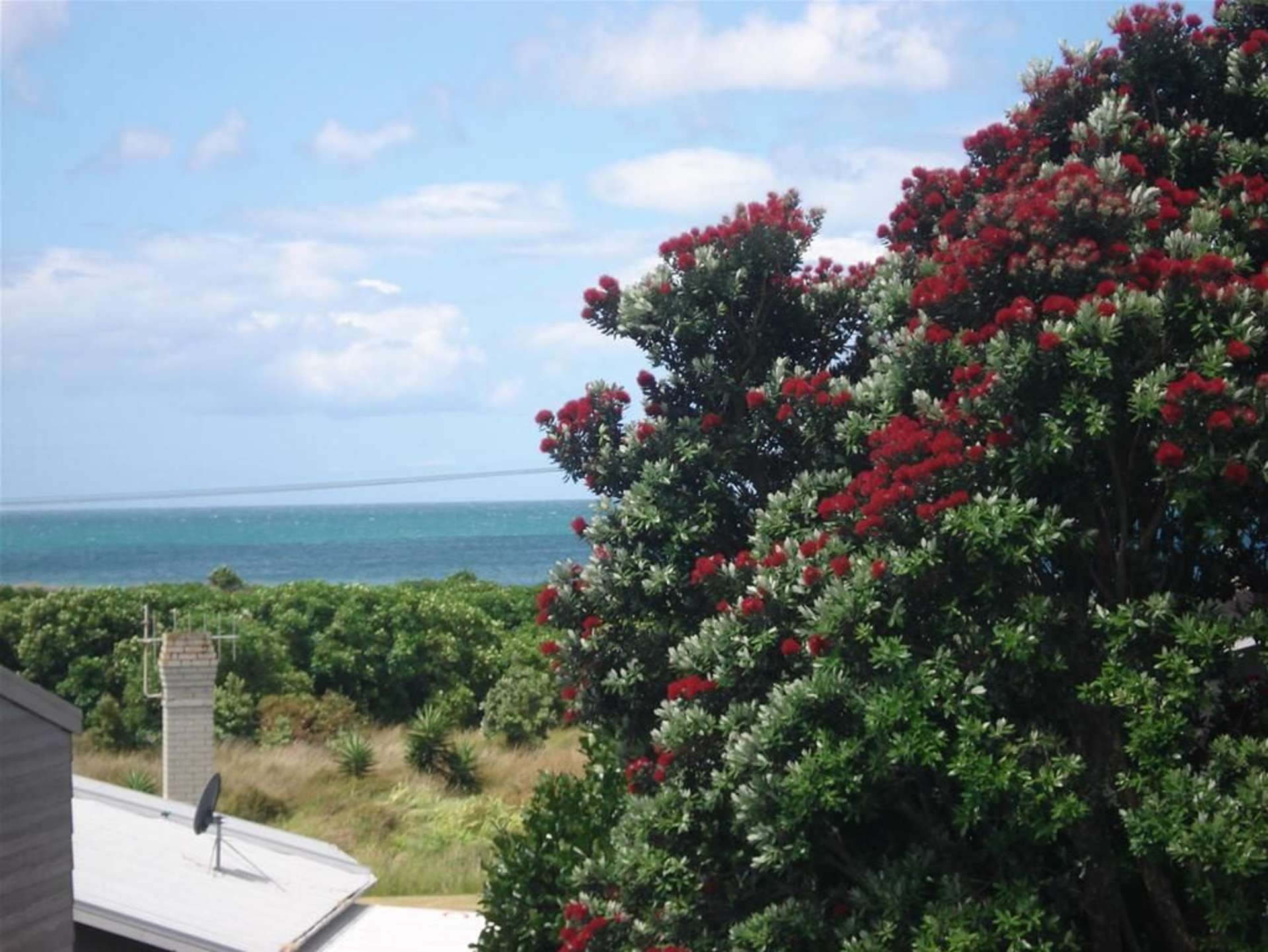 183 Seaforth Road Waihi Beach_0