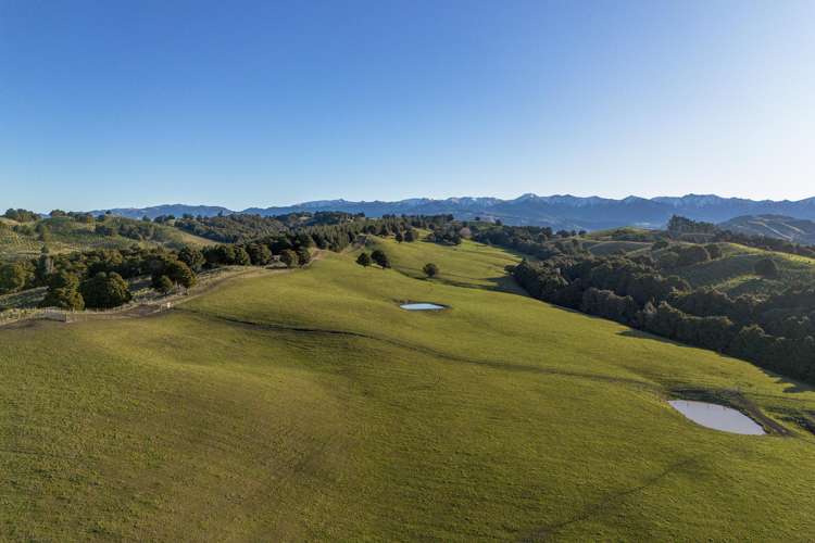 1527 Wakarara Road Ongaonga_24