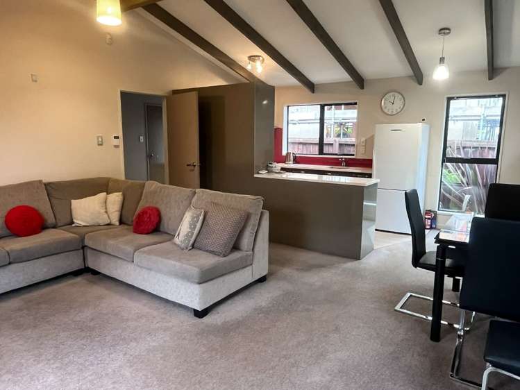 35a Harker Street Spreydon_1