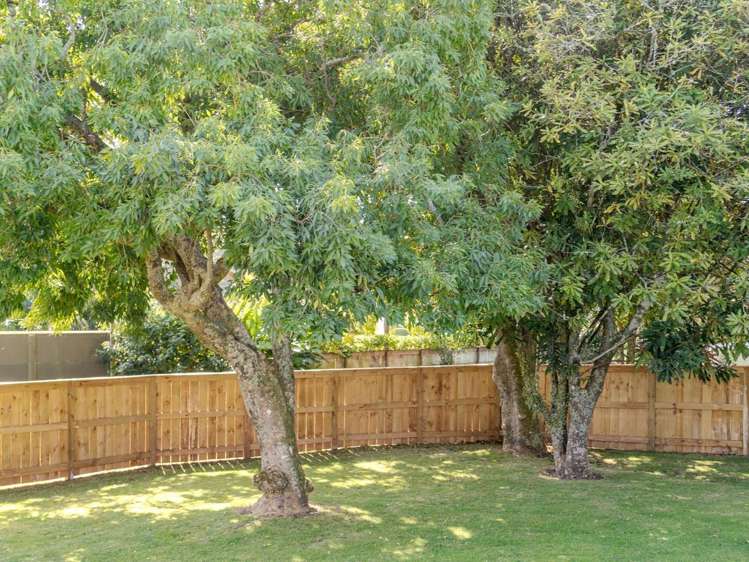 105 Hone Heke Road Kerikeri_14