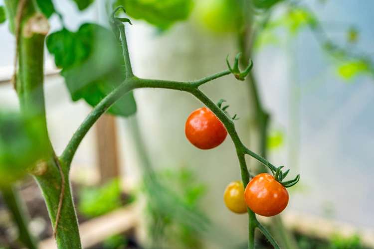 73 Ranganui Road Kaiwaka_45