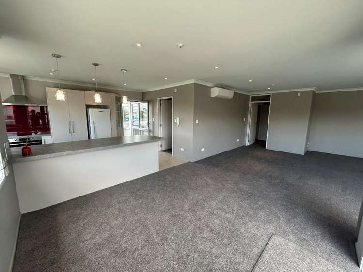 10 Grenada Street 11229_15