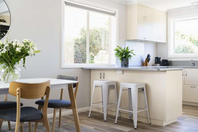 25 Duckworth Street Andersons Bay_3