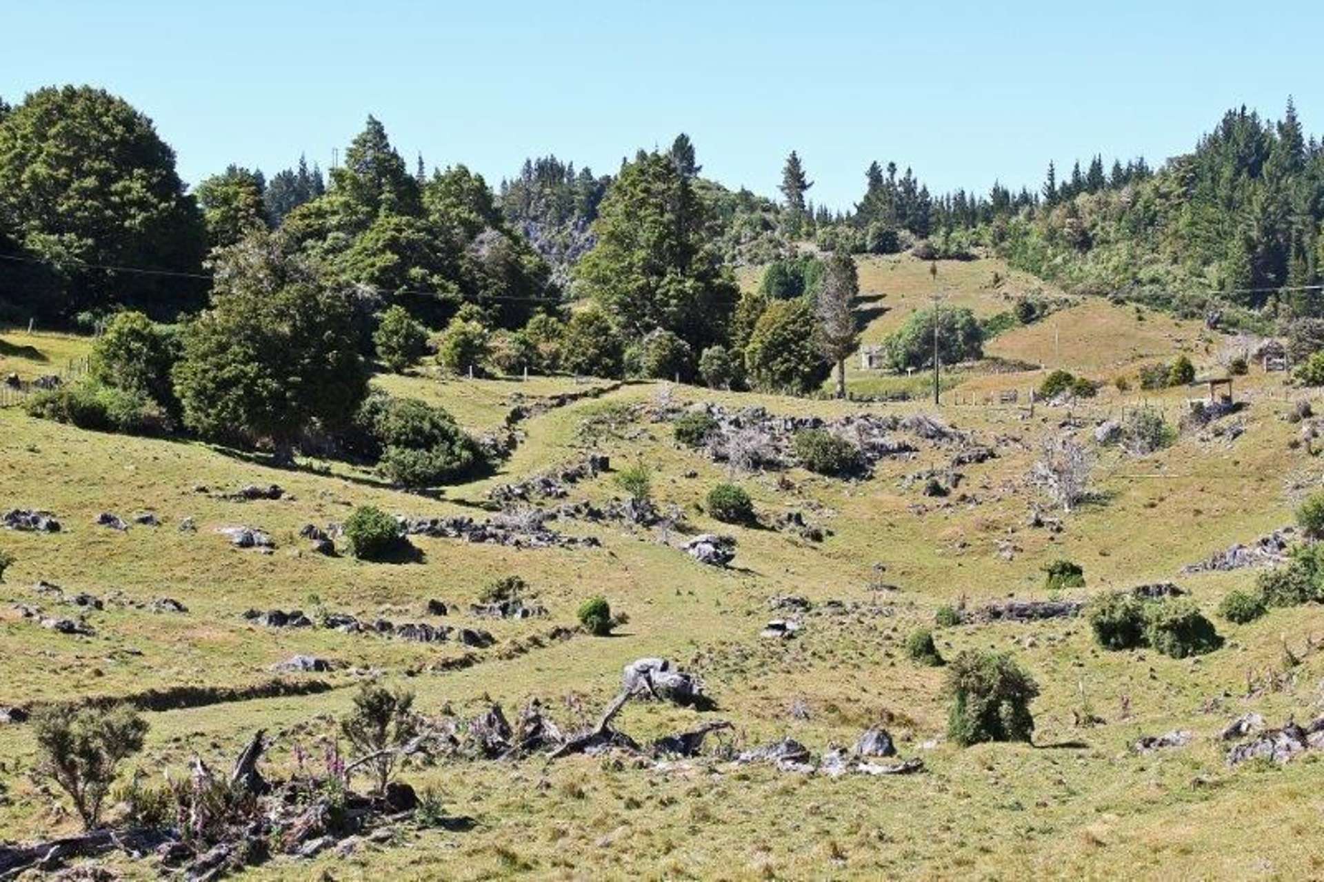 Takaka Hill Highway Motueka_0