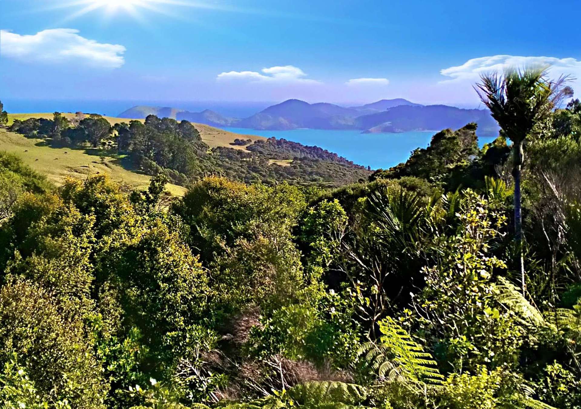 1288 State Highway 25 Manaia Coromandel ThamesCoromandel Houses