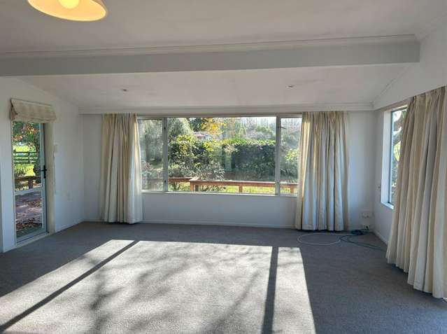 75 North Street Greytown_4