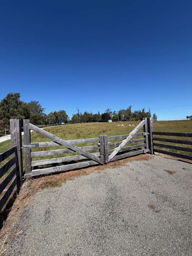 Prime opportunity on Homestead Road