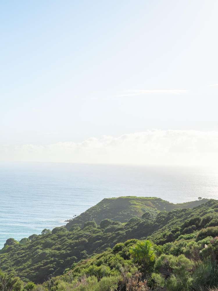 Address withheld Kerikeri_7