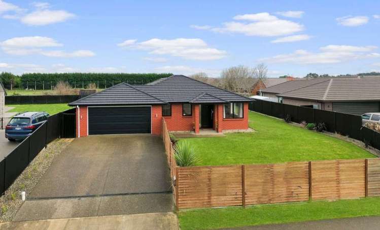 98 Hoffman Court Waikiwi_17