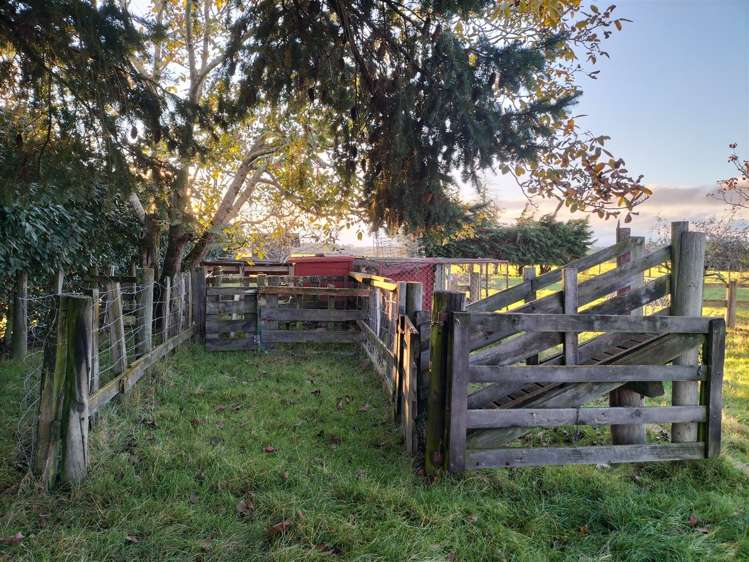 1440 Te Whiti Road Gladstone_21