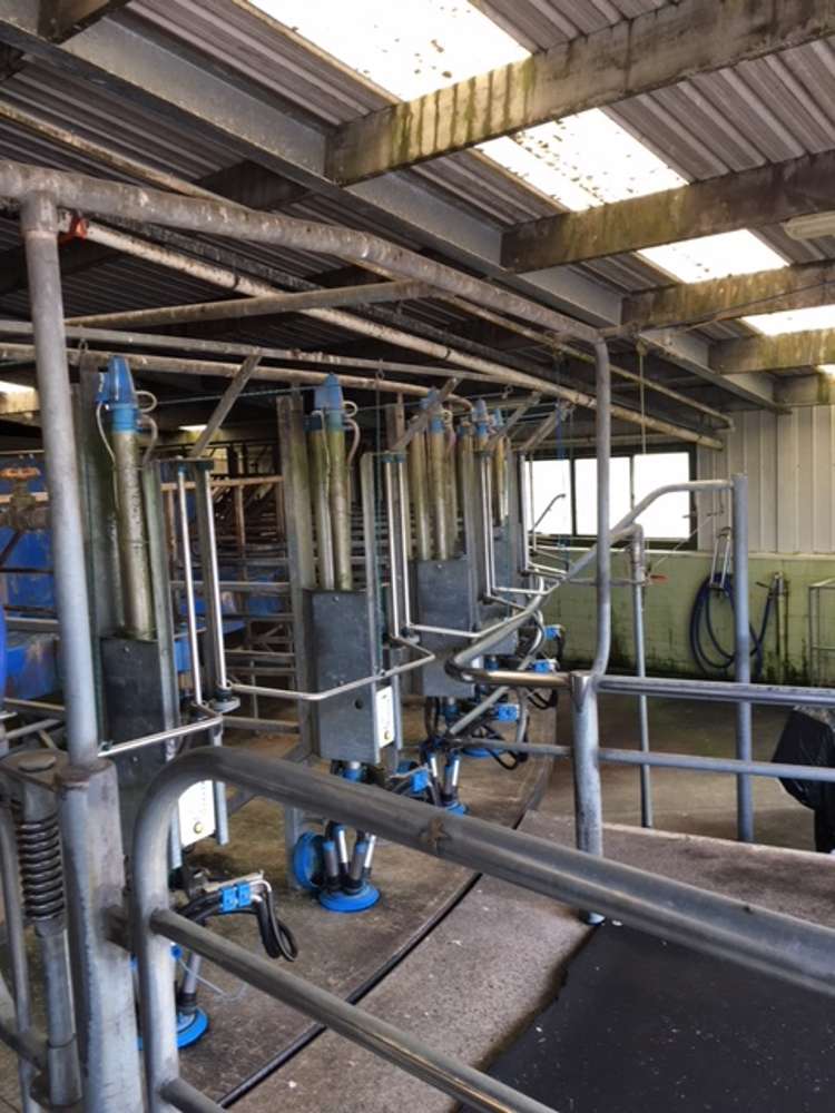 1703 Eltham Road Riverlea_12