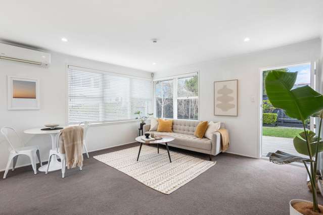 3/25a Brixton Road Mount Eden_3