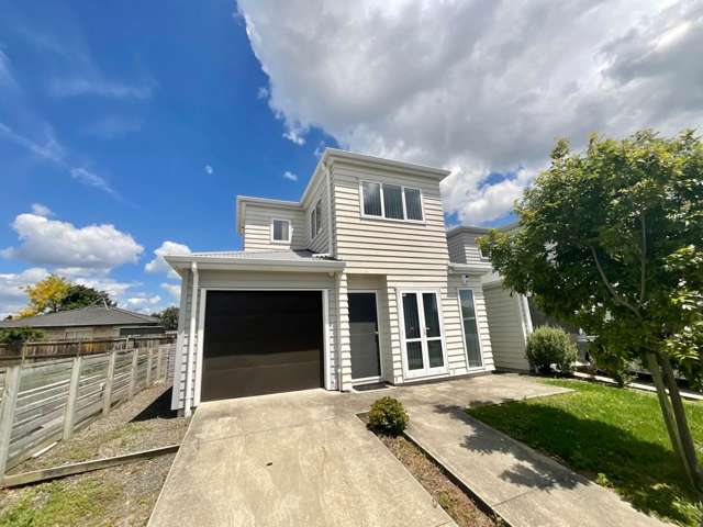 Tinsel & Lights @ Tribute Loop!