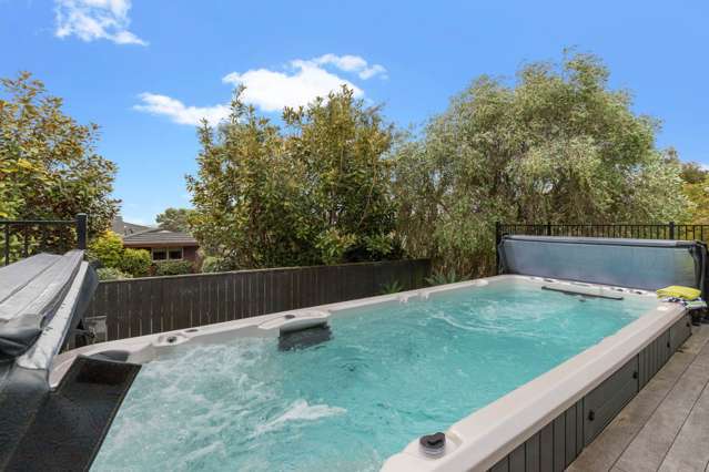 36 Katavich Place Mount Roskill_4