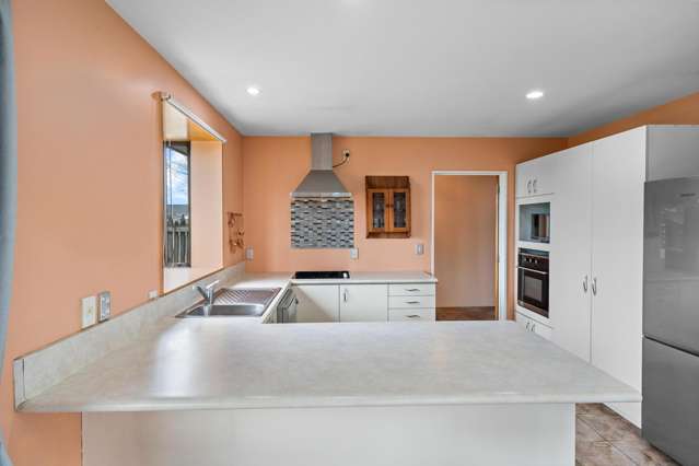 165 Edinburgh Street Spreydon_2