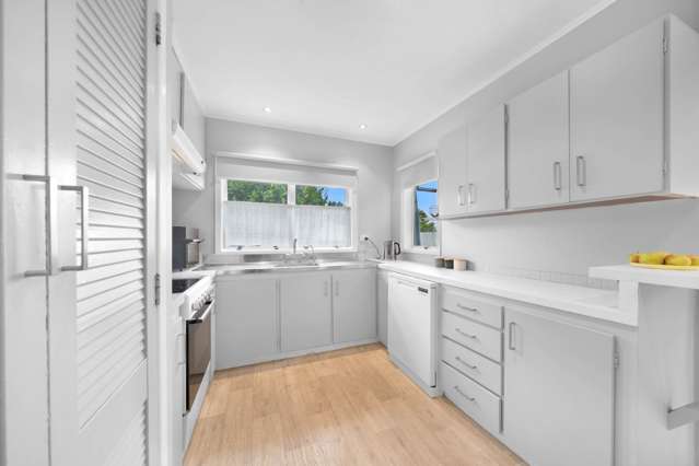 175 Kitchener Road Pukekohe_4