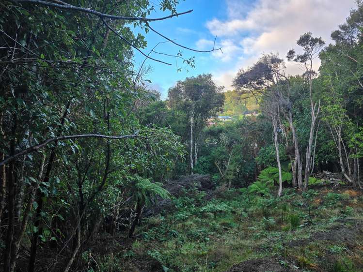 8 Rata Street_5