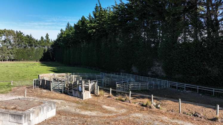 55 McGill Road Te Tipua_14