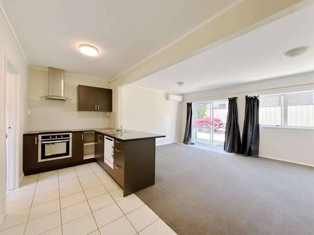 Spacious one bedroom unit plus carpark