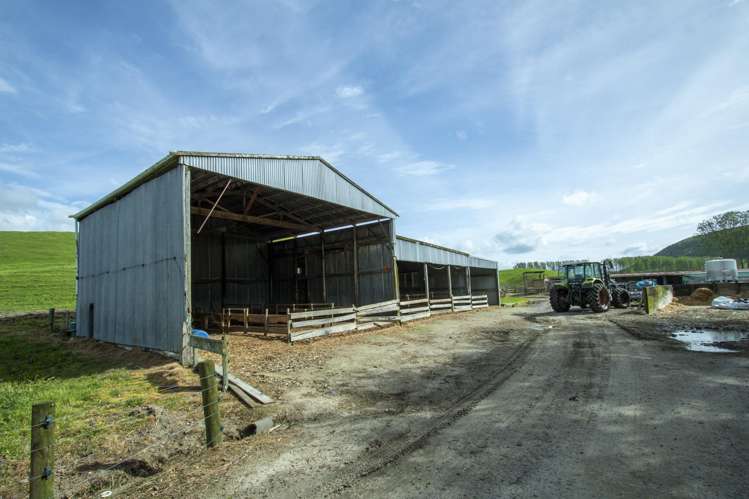 62 Rehi Road Ngakuru_24