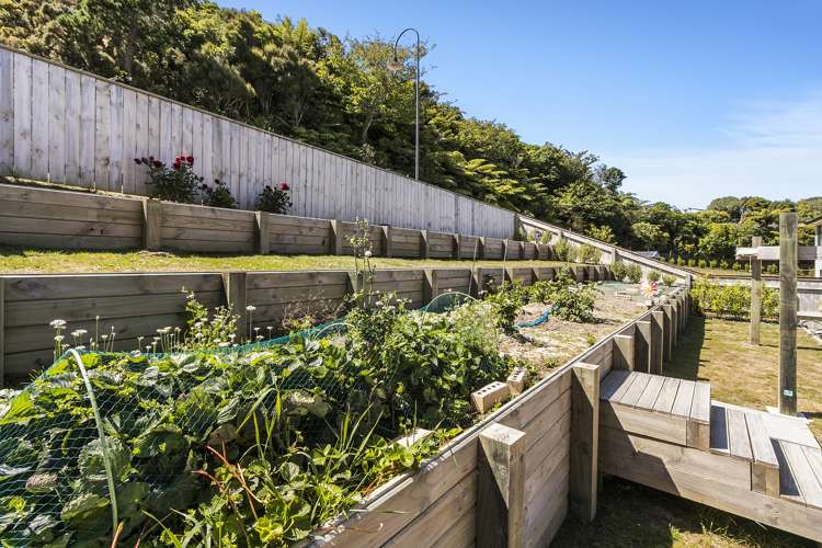 6 Lime Grove Maungaraki_16