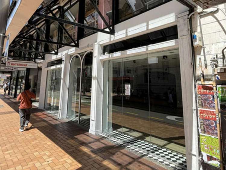 Ground/94 Manners Street Te Aro_1