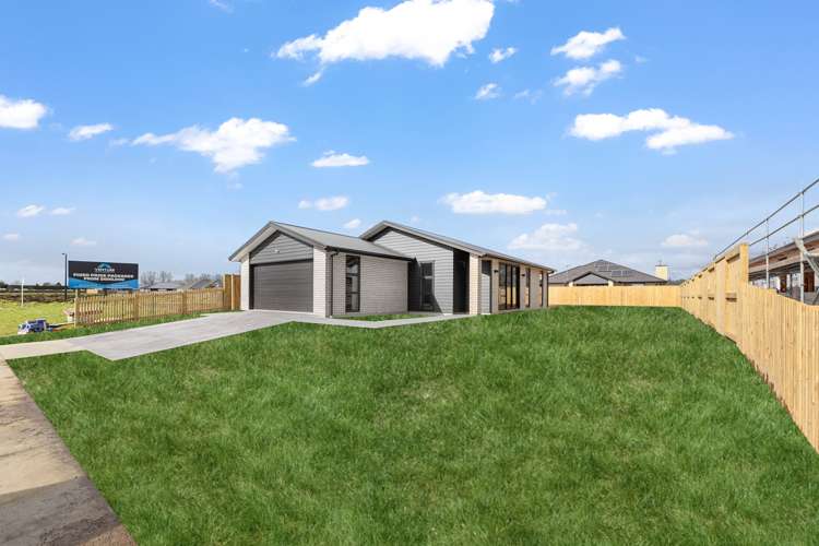 16 Tokotoko Parade Matamata_9