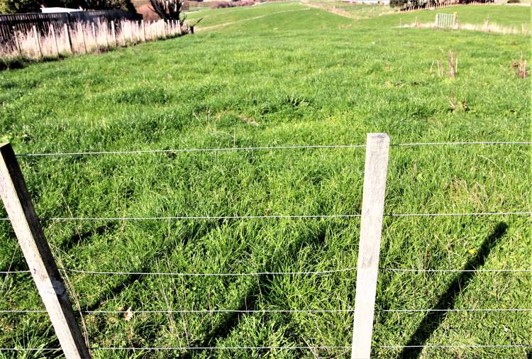 258 Valley Road Woodville_17