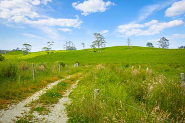 515 Kahikatea Flat Road Pine Valley_13