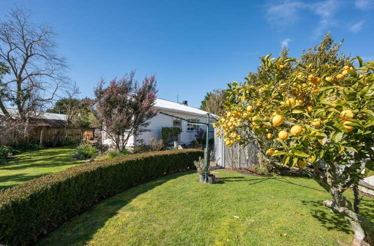 16 Baldwin Road Tasman_28