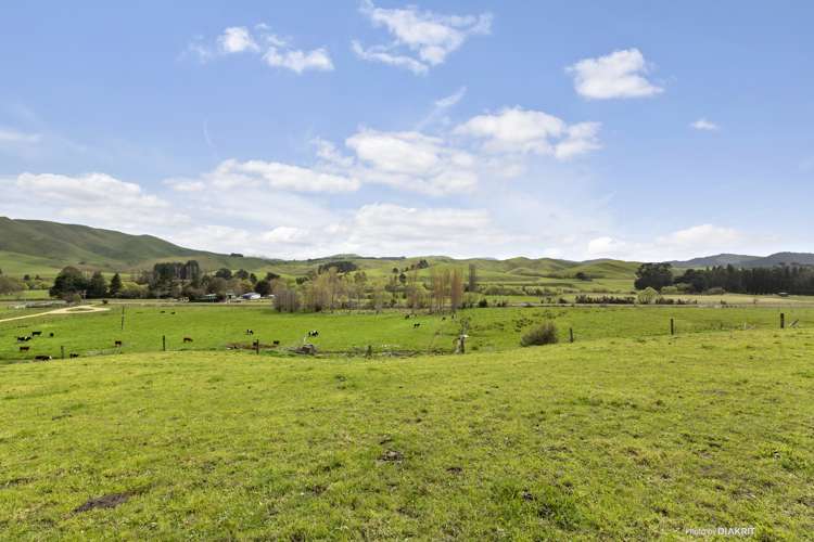 273 Mikimiki Road Mikimiki_11