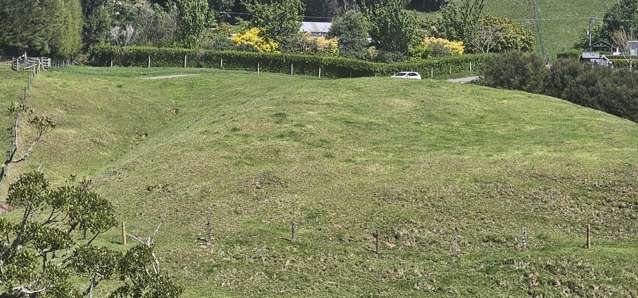1060D No 3 Road Te Puke_1