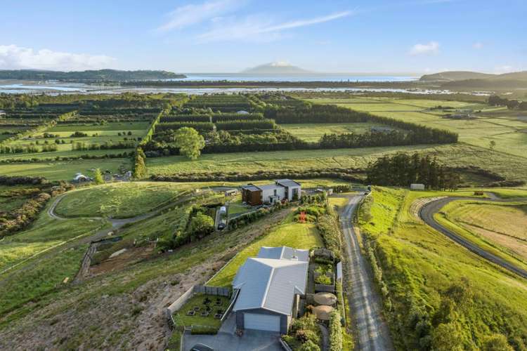 273 Takatu Road Tawharanui Peninsula_25