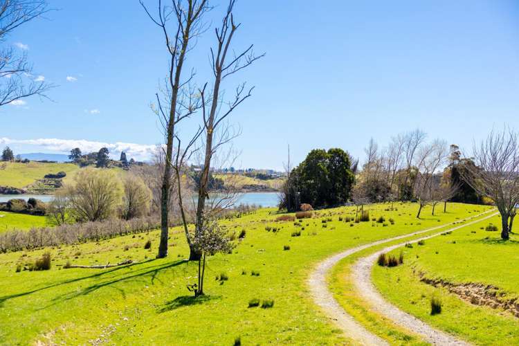 12 Pukeko Lane_5