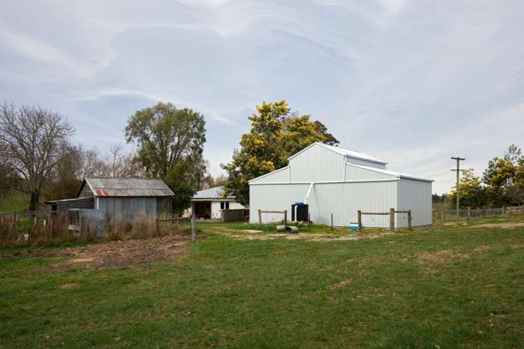 98 Fosters Road Cheviot_20