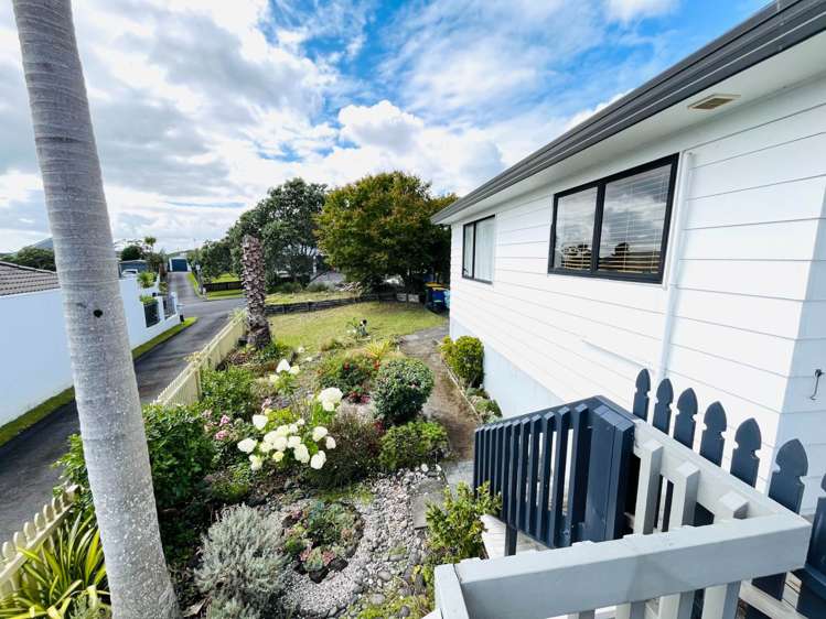 16 Hassan Drive Massey_2