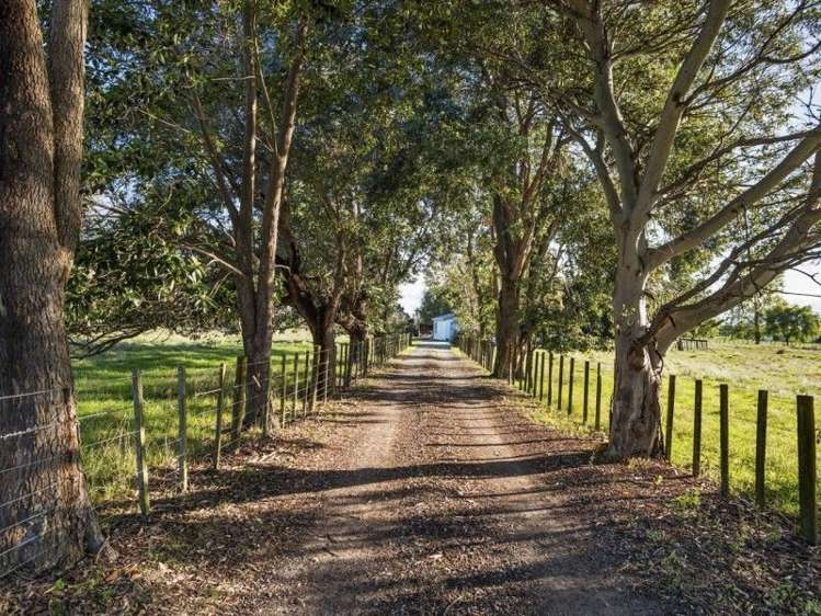 582 Back Ormond Road Makauri_4