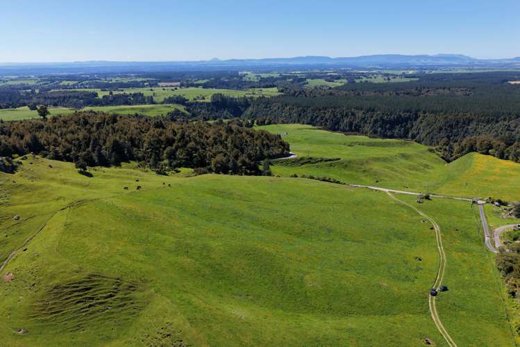 869 and 668 Mangatoi Road Oropi_5