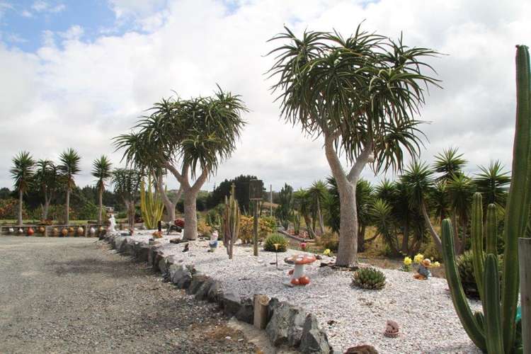 41 Mcmanus Road Houhora_19