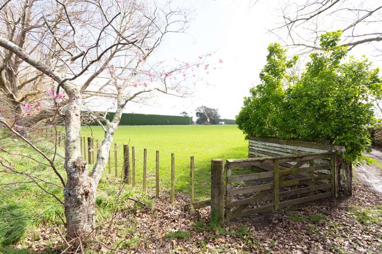 Western Line Brunswick_11