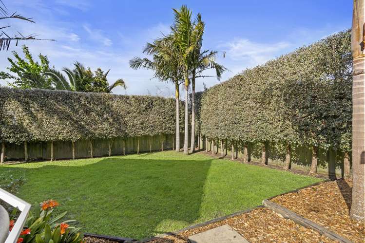 2 Stredwick Drive Torbay_12